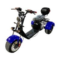 Электроскутер CITYCOCO GT X12 TRIKE Cиний