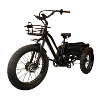 Трехколесный электровелосипед GT V17 48V/12Ah