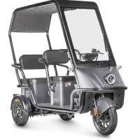 Электротрицикл Wanshida NIPLA 500 60V 1000Вт Черно-серый